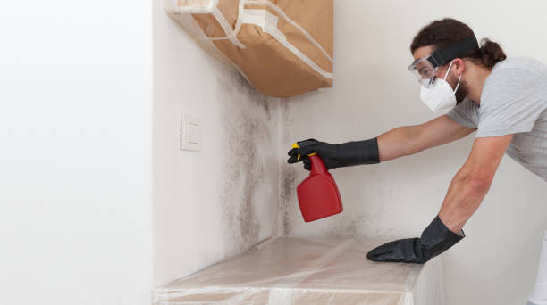 Professional Bathroom Mold Removal technician working in Reading, MA