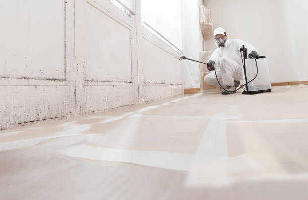 24/7 Emergency Bathroom Mold Removal experts in Reading, MA